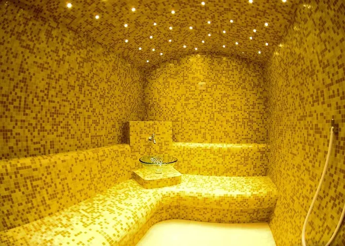 兹拉特科别墅公寓 *